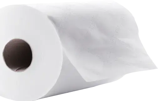 TOILET PAPER